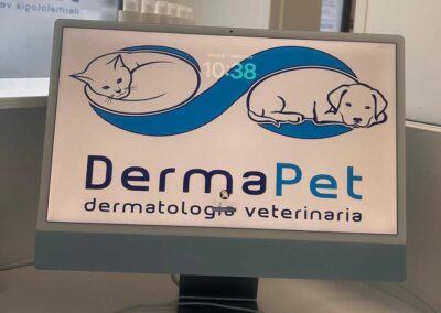 Dermatologo cane Brescia