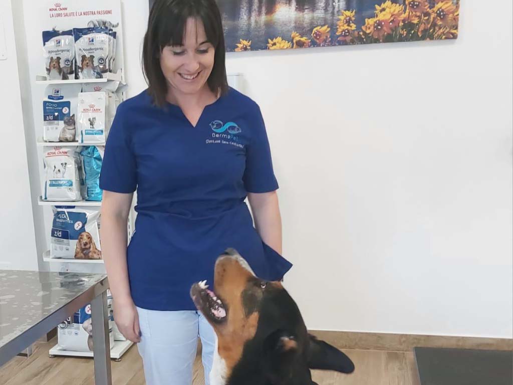 Dermatologo per cane Dermatologo per cane
